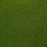 Tela patchwork puntitos verde pistacho sobre verde oscuro 1